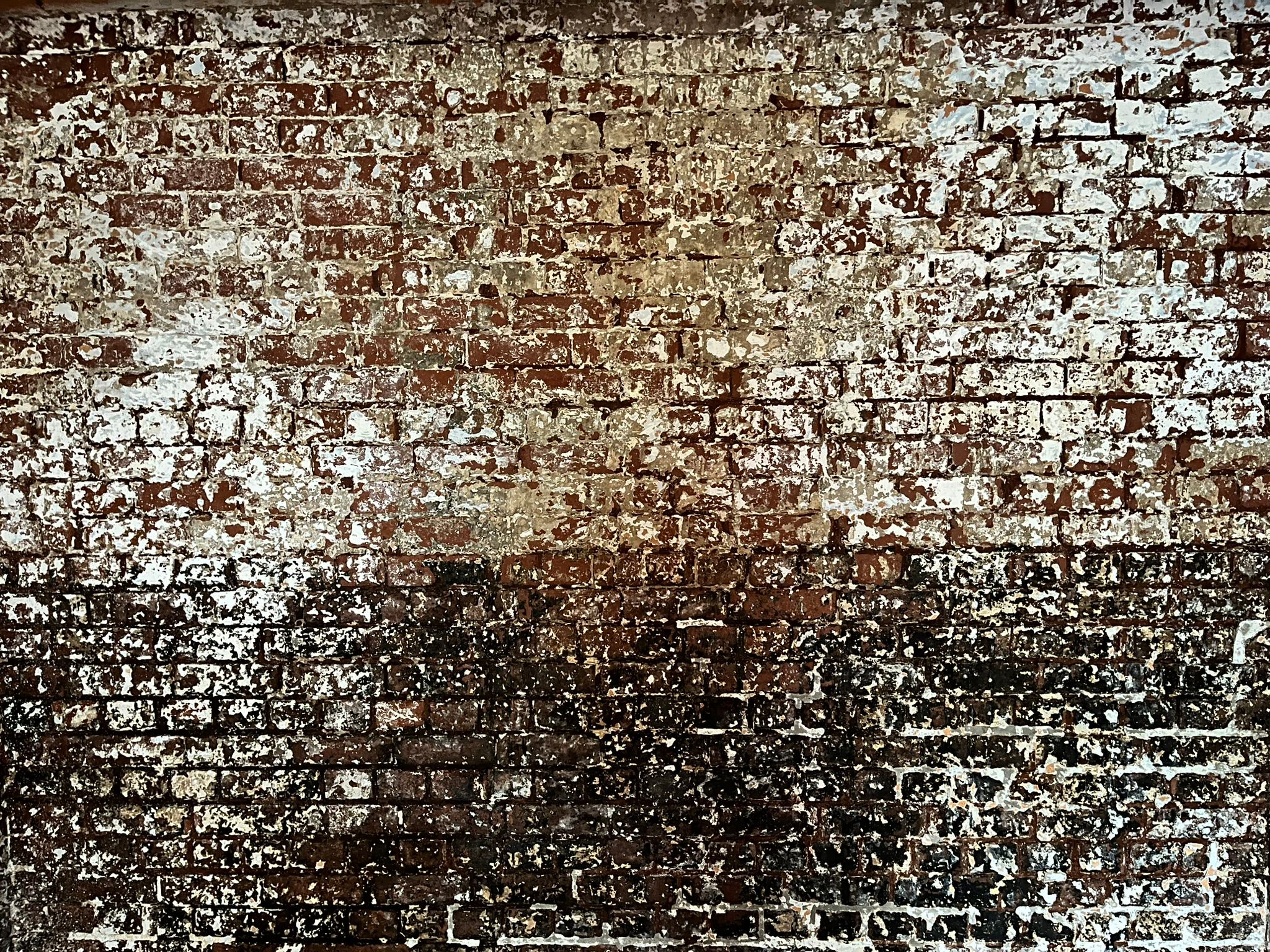 Original facebrick revealed during restoration of the heritage cellar